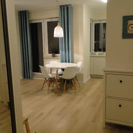 Aviator - Acco Rent Gdansk