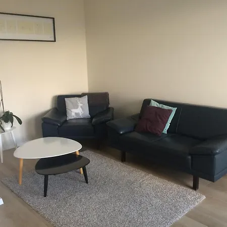 Aviator - Acco Rent Gdansk