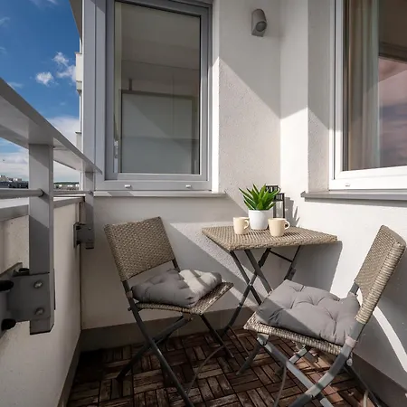 Aviator - Acco Rent Gdańsk